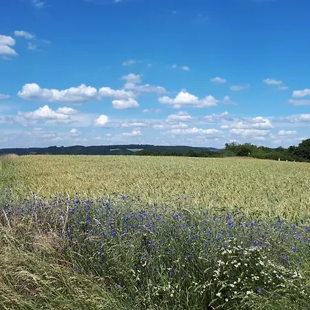 아파트 4-sterne Carbach -perfekt Fuer Radfahrer- *