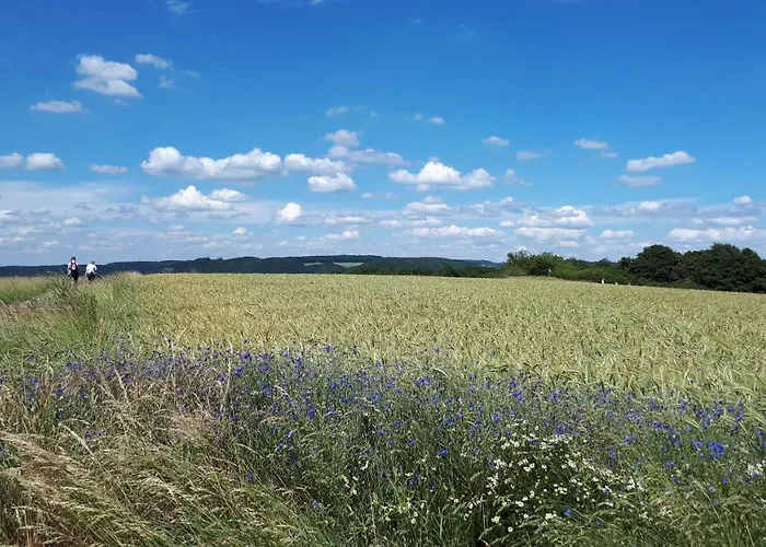 Apartamento 4-sterne Carbach -perfekt Fuer Radfahrer- *